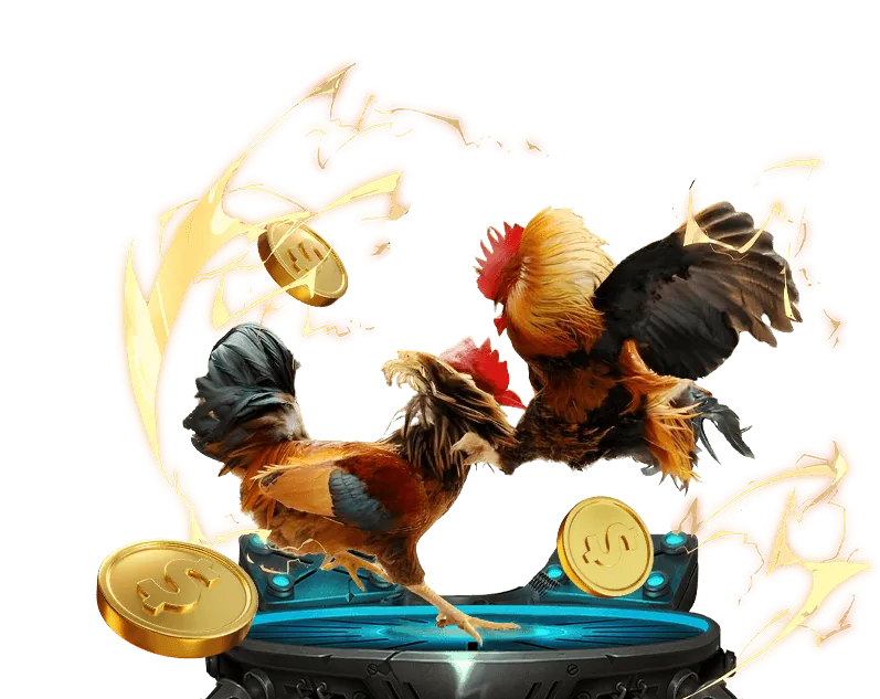 Hướng Dẫn Cá Cược Trực Tuyến K9CC